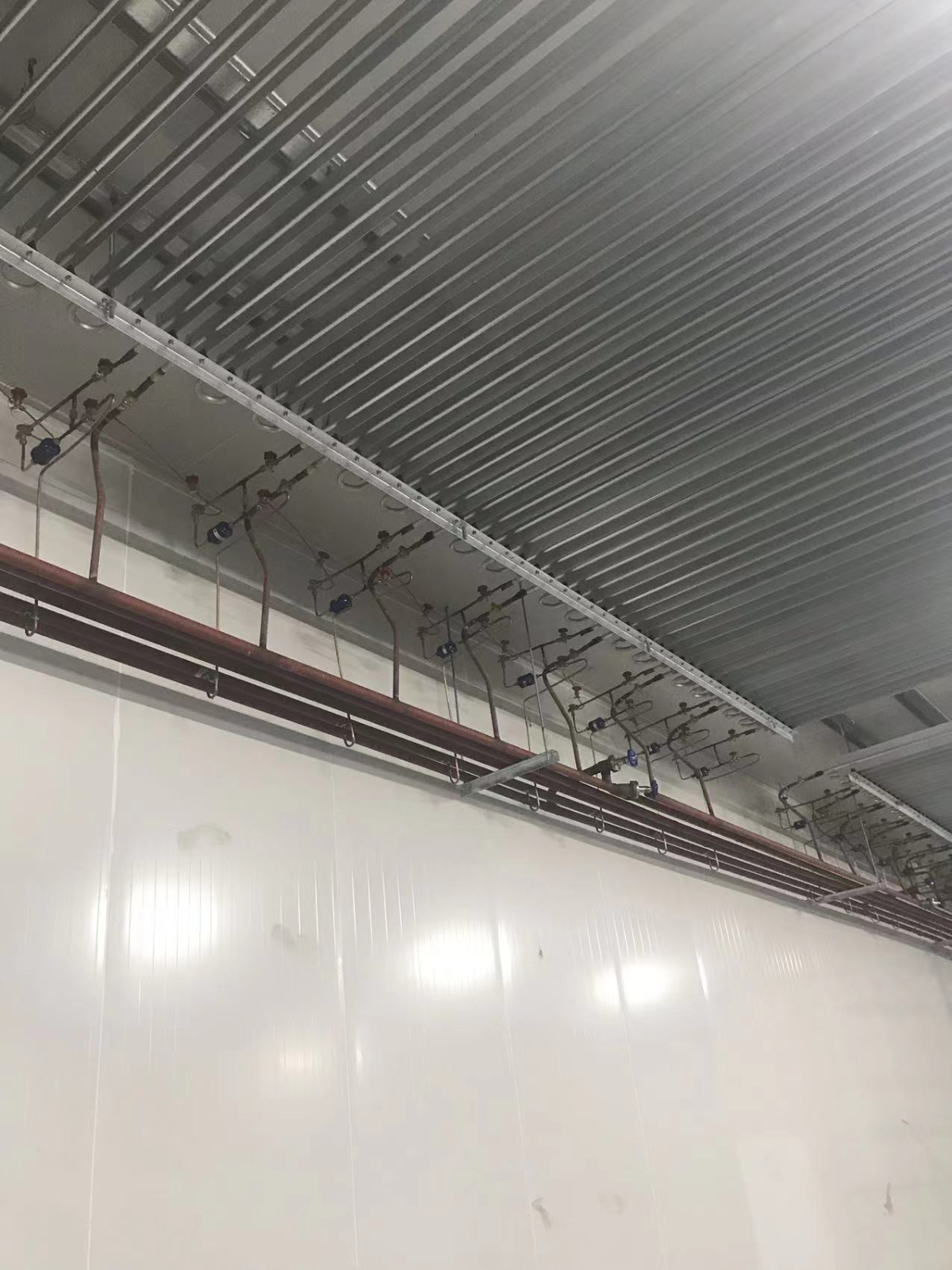 Nantong Cold Storage 10000m ³