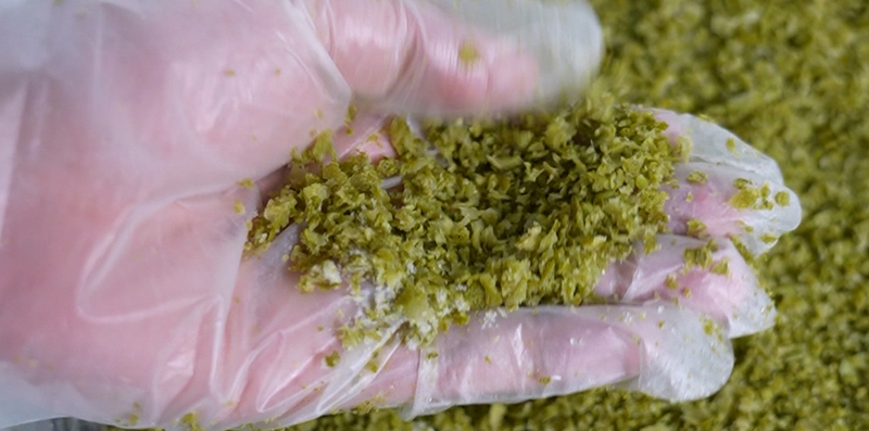  博莱客完成香水柠檬皮冻干工艺实验，涡旋盘管冷阱锁住天然香气