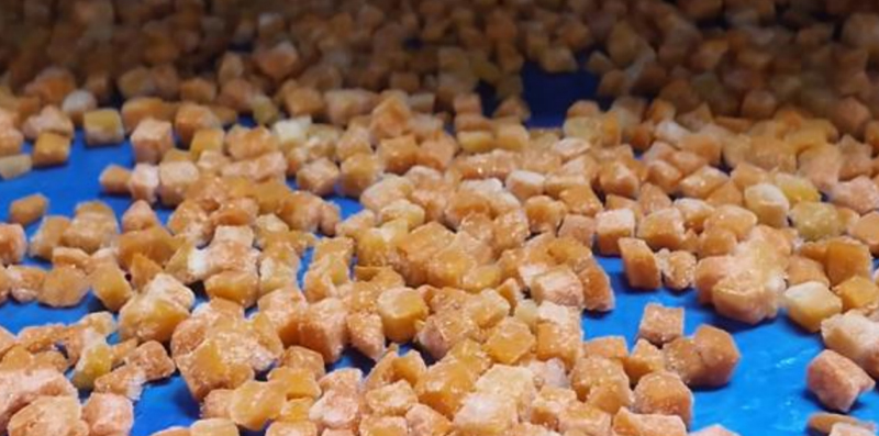  江苏博莱客完成有机胡萝卜冻干测试