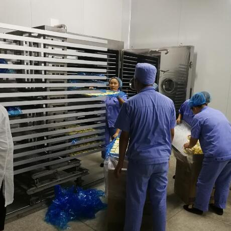 北京同仁堂  50平方冻干机