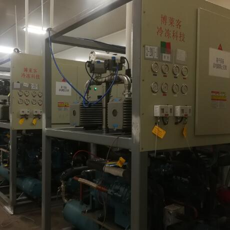 东阳光集团（冬虫夏草）  20平方*8套，30平方*3套冻干机